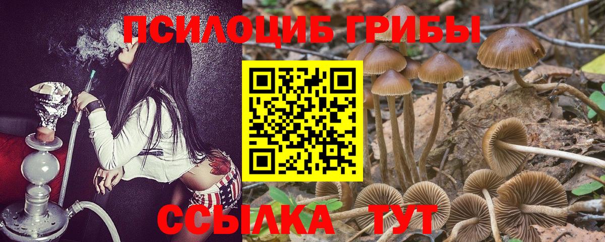 Псилоцибиновые грибы MAGIC MUSHROOMS Можайск