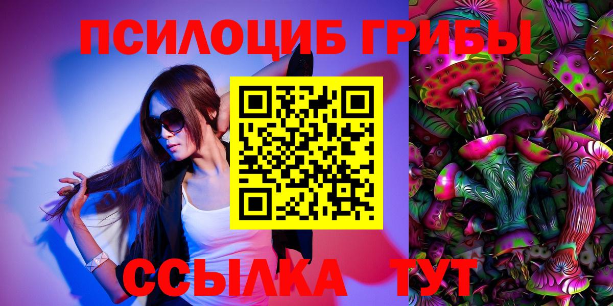Можайск  Псилоцибиновые грибы ЛСД  Вход с VPN  Галлюциногенные грибы Psilocybe 